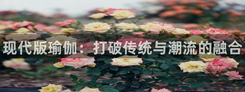 J9官网下载娱乐:现代版瑜伽:打破传统与潮流的融合