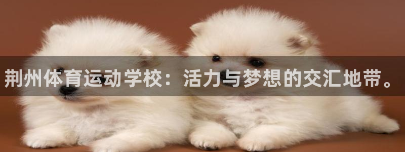 J9官网下载招商电话号码是多少:荆州体育运动学校:活力与梦想