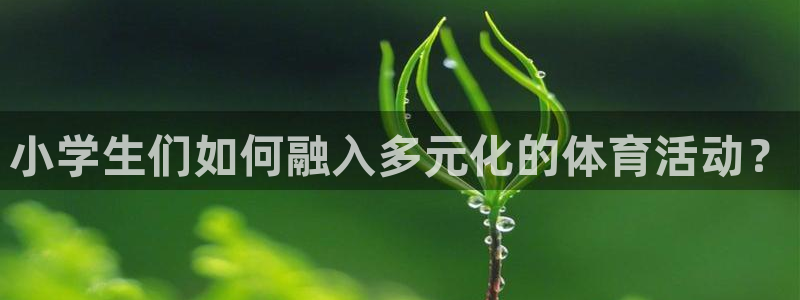 J9官网下载招商电话号码:小学生们如何融入多元化的体育活动?
